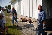 Croatian Pig Roast